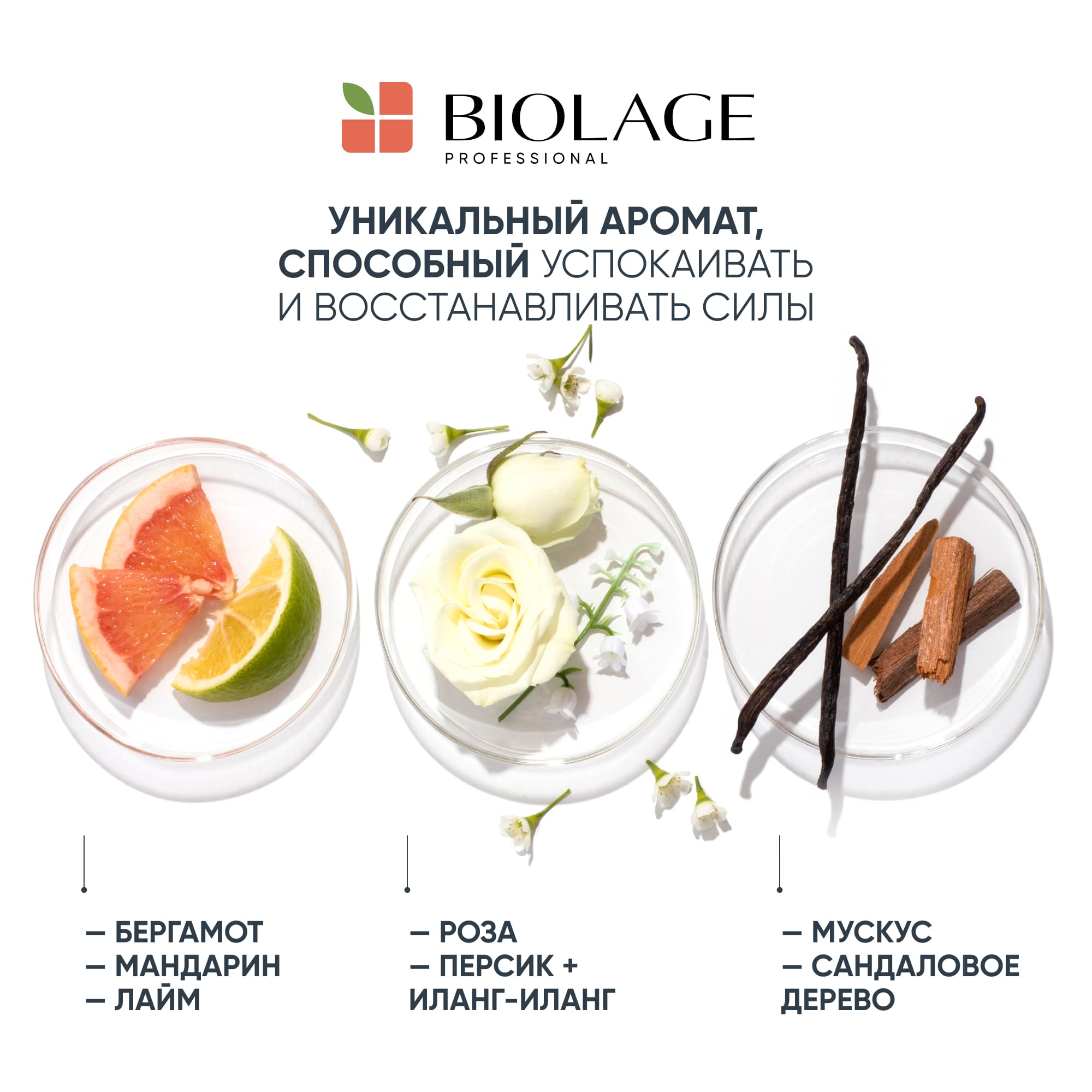 Купить Matrix Biolage - Многофункциональное масло для волос All In One Oil,  125 мл в интернет-магазине Professional Hair в Москве