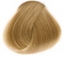 Concept - Стойкая крем-краска для волос Permanent Color Cream, 9.00 интенсивный светлый блондин, 100 мл