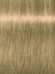 Фото Indola Blonde Expert - Крем-краска, тон 100.03+ ультраблонд натуральный золотистый интенсивный, 60 мл