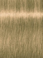 

Indola Blonde Expert - Крем-краска, тон 100.03+ ультраблонд натуральный золотистый интенсивный, 60 мл