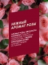 Batiste Rose Gold - Сухой шампунь для волос Rose Gold с ароматом розы, 200 мл