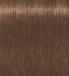 Фото Indola Profession PCC Red&Fashion - Краска для волос, тон 8.48 Светлый русый медный шоколадный, 60 мл