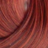 Estel Professional - Крем-краска для волос, тон 66-46 зажигательная латина, 60 мл