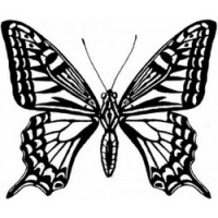 

Temptu Pro Transfer Girly Butterfly - Трансферная татуировка