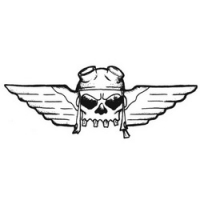 

Temptu Pro Transfer Rock Skull Pilot - Трансферная татуировка