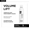 L'Oreal Professionnel - Мусс для прикорневого объема волос Volume Lift Spray-Mousse, 250 мл