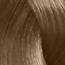 Revlon Professional - Перманентный краситель Revlonissimo Colorsmetique, 8.01 Светлый Блондин Пепельный, 60 мл