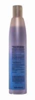 Estel Professional - Шампунь Зимняя защита для всех типов волос, 300 мл