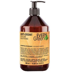 Фото Dikson Every Green Anti-Oxidant Shampoo Antiossidante - Шампунь, Антиоксидант, 500 мл