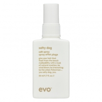 Фото EVO salty dog salt spray - Текстурирующий спрей, 50 мл