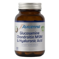 Avicenna - Комплекс "Глюкозамин хондроитин MSM + гиаулороновая кислота", 60 таблеток - фото 1