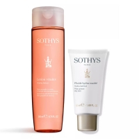 Sothys - Набор для ежедневного ухода за жирной кожей: флюид 50 мл + тоник 200 мл beauty formulas средство для ухода за проблемной кожей