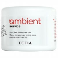 Tefia - Маска липидная для интенсивного восстановления волос Lipid Mask for Damaged Hair, 500 мл маска для восстановления поврежденных и сухих волосtotal reconstruction