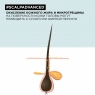 L'Oreal Professionnel - Шампунь Scalp Advanced против перхоти для всех типов волос, 300 мл