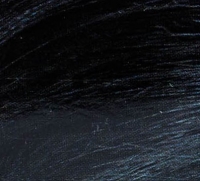 Revlon - Набор для окрашивания волос в домашних условиях: крем-активатор + краситель + бальзам, #12 Blue Black (Иссиня-черный), 130 мл - фото 4