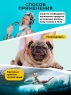 Cool Rule Hair - Средство 3в1 для мужчин "Огненный шторм": шампунь, кондиционер и гель для душа, 400 мл