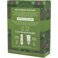 Matrix Biolage - Набор Strength Recovery для восстановления волос (шампунь 250 мл, кондиционер 200 мл) URU14121 - фото 3
