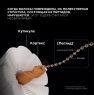 L'oreal Professionnel - Шампунь для молекулярного восстановления волос Absolut Repair Molecular, 500 мл
