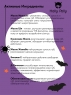 Holly Polly Hollyween - Бальзам для губ Trick or treat, 4,8 г