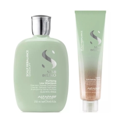 Фото Набор средств против перхоти (шампунь 250 мл + скраб 150 мл)