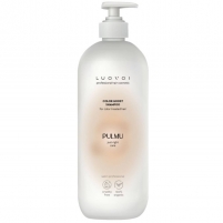 Фото Шампунь для сохранения цвета Color Boost, 300 мл