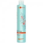 Фото Hair Company Professional Light Bio Argan Shampoo - Шампунь для волос с био маслом Арганы, 250 мл