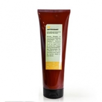 Фото Insight Antioxidant Rejuvenating Mask - Маска антиоксидант для перегруженных волос, 250 мл.