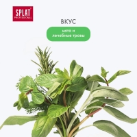 Splat Professional Medical Herbs - Ополаскиватель, для полости рта, 275 мл - фото 6