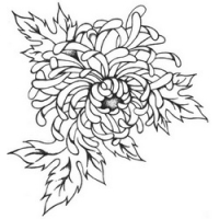 

Temptu Pro Transfer Asian Peony Flower - Трансферная татуировка
